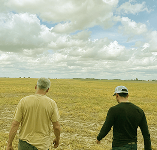 Testimonials grain merchandiser